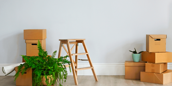Gestion locative : faut il louer vide ou meublé ?